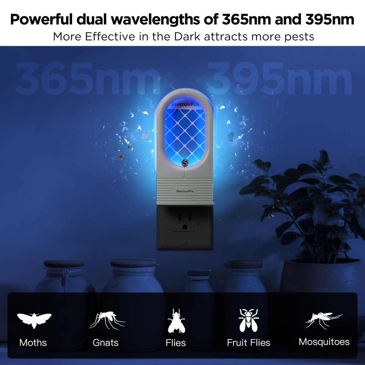 Bietrun plug-in insect trap with UV and blue light for catching gnats, fruit flies, moths, mosquitoes, and indoor flying insects