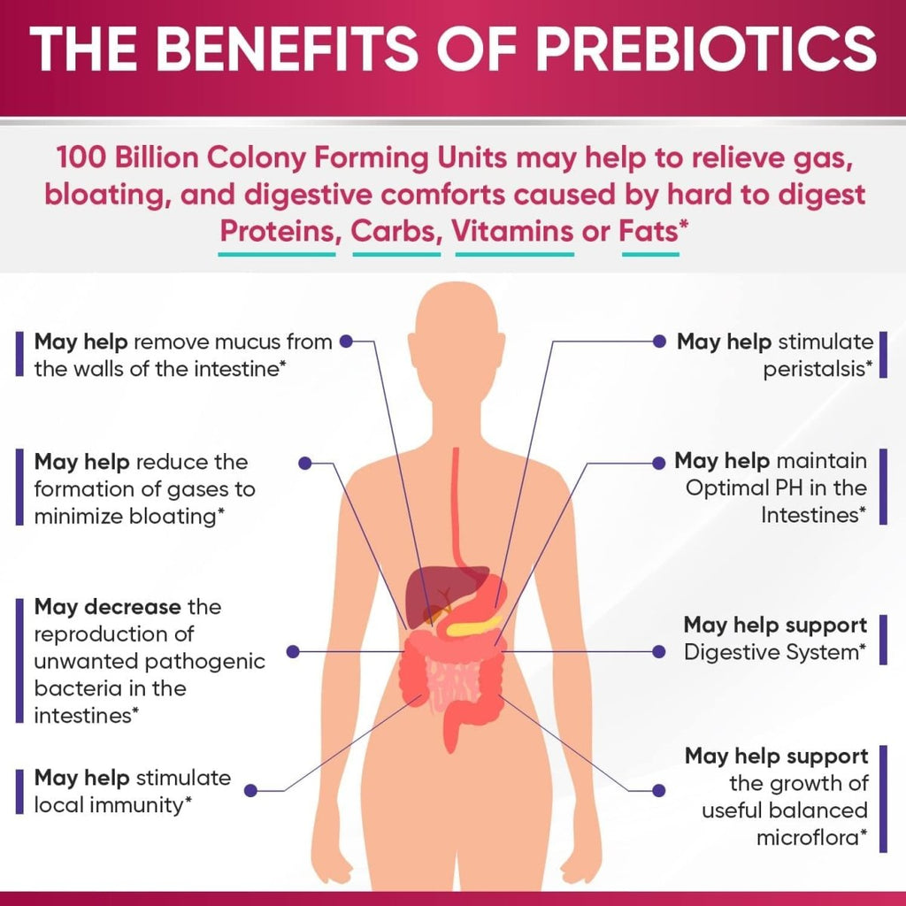 Showlu Raw Probiotics for Women with 100 Billion CFU, enzymes and prebiotics, shelf-stable probiotic supplement for digestive health.