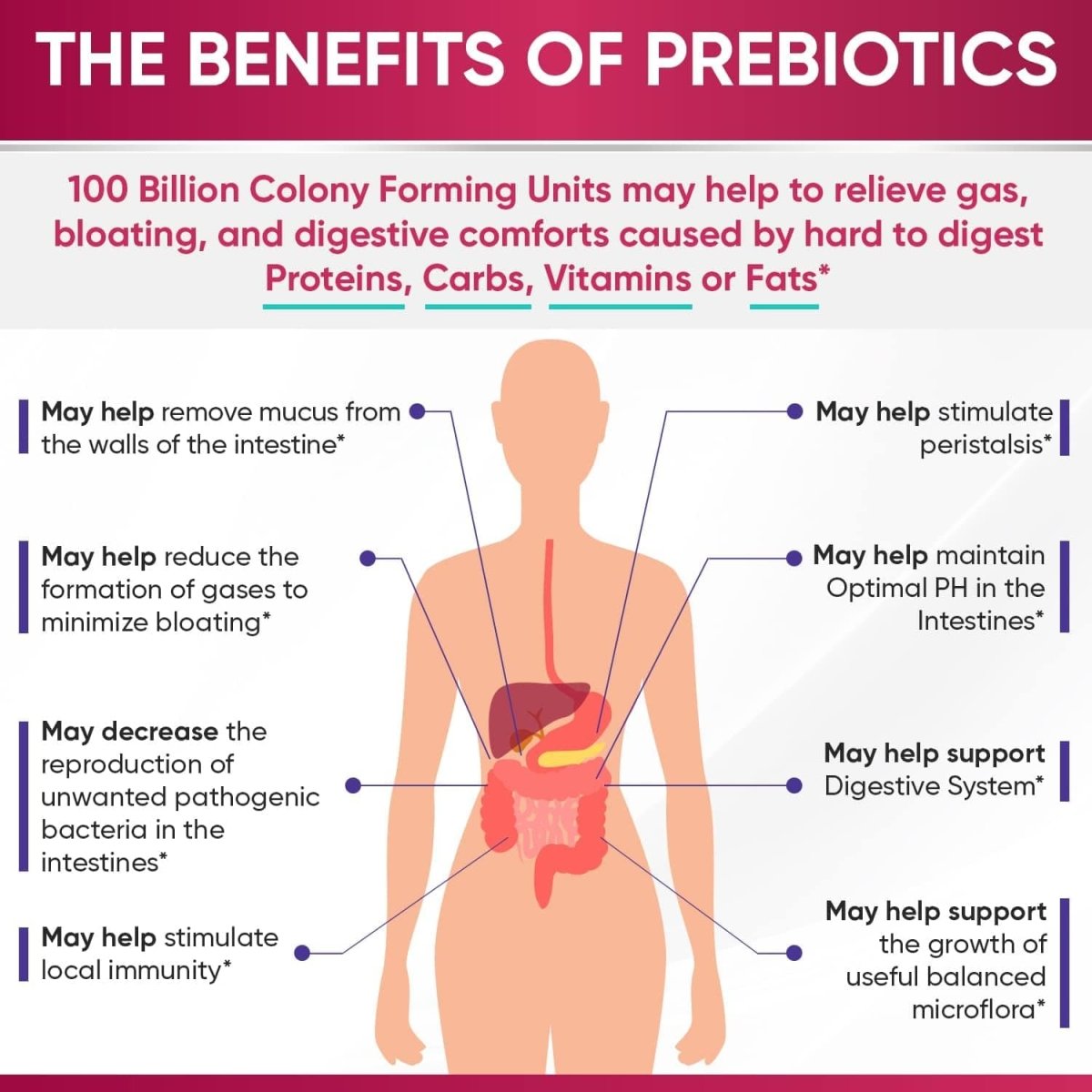 Showlu Raw Probiotics for Women with 100 Billion CFU, enzymes and prebiotics, shelf-stable probiotic supplement for digestive health.