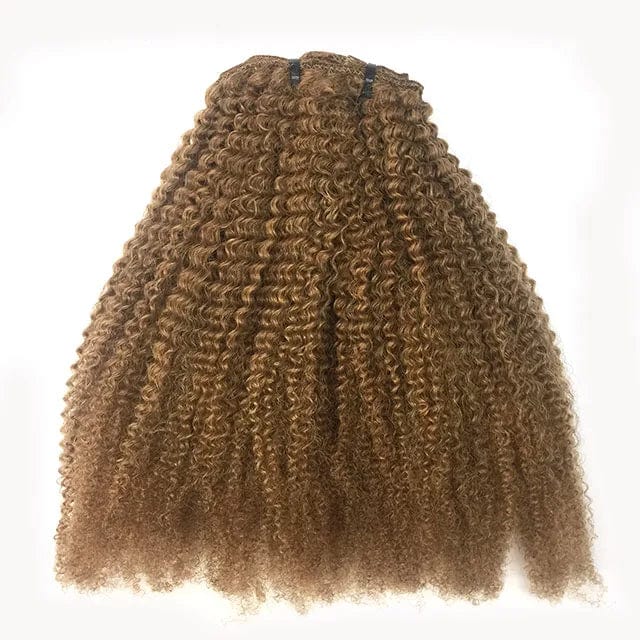 Afro kinky curly clip-in hair extensions with 100% raw Brazilian virgin hair, showcasing natural texture and rich color variations.