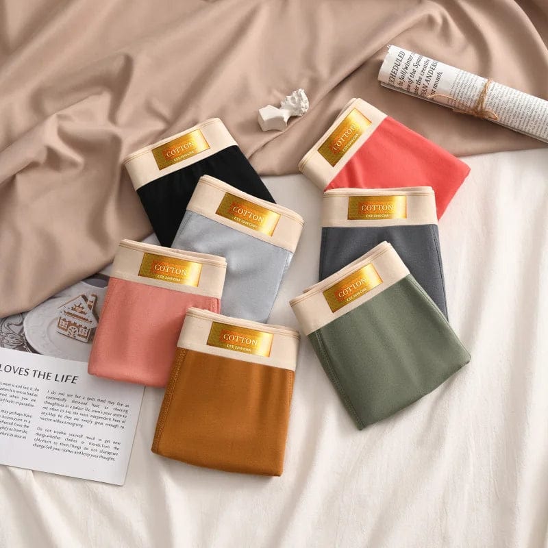 Luxury Men Underpants Man Cotton Breathable Comfortable Boxer Selling Shorts Men's Panties Plus Size Panties Underwear Gift - SHOWLU FASHION STORE