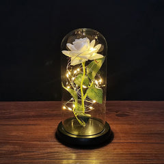 Showlu Fashion Store 0 B-4 LED Enchanted Galaxy Rose Eternal 24K Gold Foil Flower with String Lights In Dome for Home Decor Christmas Valentine&#39;s Day Gift