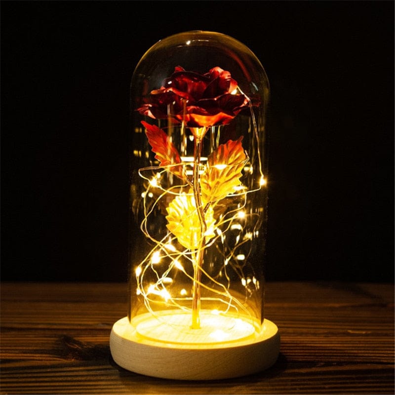 Showlu Fashion Store 0 C-1 LED Enchanted Galaxy Rose Eternal 24K Gold Foil Flower with String Lights In Dome for Home Decor Christmas Valentine&#39;s Day Gift