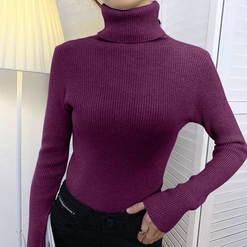 Showlu Fashion Store 0 DARK PURPLE / One Size Heliar Women Fall Turtleneck Sweater Knitted Soft Pullovers Cashmere Jumpers Basic Soft Sweaters For Women 2023 Autumn Winter