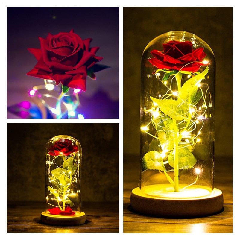 Showlu Fashion Store 0 LED Enchanted Galaxy Rose Eternal 24K Gold Foil Flower with String Lights In Dome for Home Decor Christmas Valentine&#39;s Day Gift