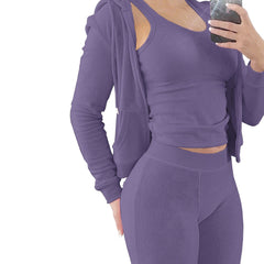 Showlu Fashion Store 0 Purple / S Luxurious Thick Fleece 3-Piece Sweatsuit