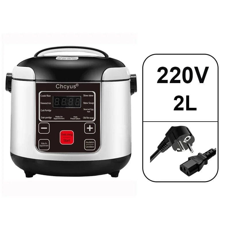 Showlu Fashion Store 12V 24V 220V Mini Rice Cooker Car Truck Soup Porridge Cooking Machine Food Steamer Heating Lunch Box Meal Heater Warmer 2L