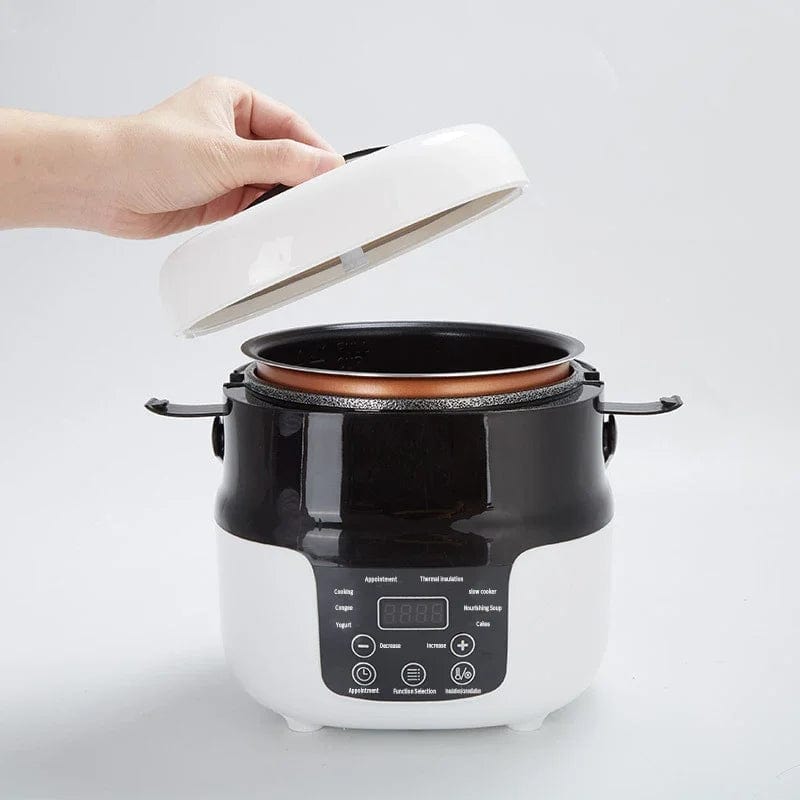 Showlu Fashion Store 12V 24V 2L Electric Mini Rice Cooker Portable MultiCooker Household Rice Cookers 12V 24V  Pot Cooking Machine Pans For Car Truck