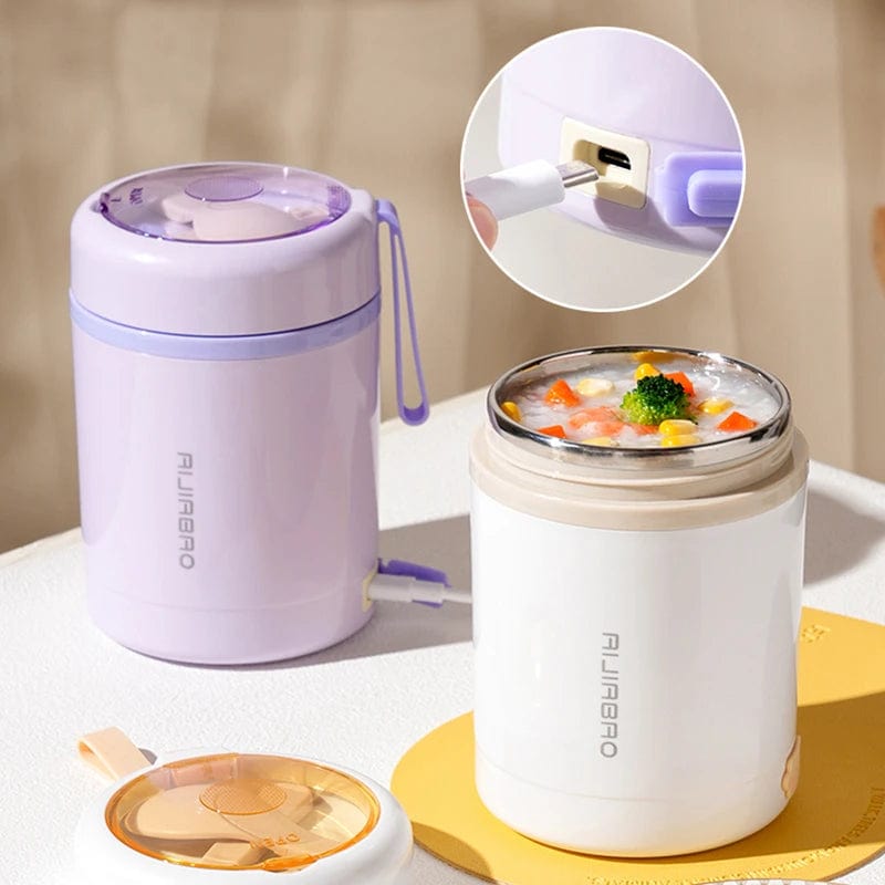 Showlu Fashion Store 600ML USB Electric Heating Lunch Box Portable Picnic Milk Drink  Food Heater Stainless Steel Food Warmer Container 5V 12V 24V