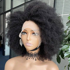 SHOWLU FASHION STORE Afro Wigs for Black Women Kinky Curly Lace Front Wig Afro Short Bob Human Hair Wig 13x4x2 HD Lace Natural Hairline Glueless 250%