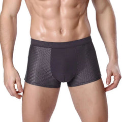 Showlu Fashion Store Gy / L / 1pc Bamboowear Bamboo Boxer Short Men Microfiber Boxer Briefs Underwear Compression Stretch