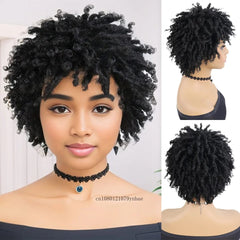 SHOWLU FASHION STORE Short Black Afro Curly Synthetic Wig for Women Dreadlocks Crochet Braids Wigs African Style Heat Resistant Daily Party Costume