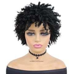 SHOWLU FASHION STORE Short Black Afro Curly Synthetic Wig for Women Dreadlocks Crochet Braids Wigs African Style Heat Resistant Daily Party Costume