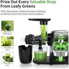  Showlu Fashion Store United States Cold Press Slow Masticating Juicer with 3 Modes Vegetable and Fruit Juicer Extractor BPA-free High Hardness Slow Juicer