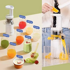  Showlu Fashion Store United States Slow Mini Juicer Extractor Easy to Clean, Cold Press Juicer Machine with quiet motor for High Nutrient Fruit & Vegetable Juice