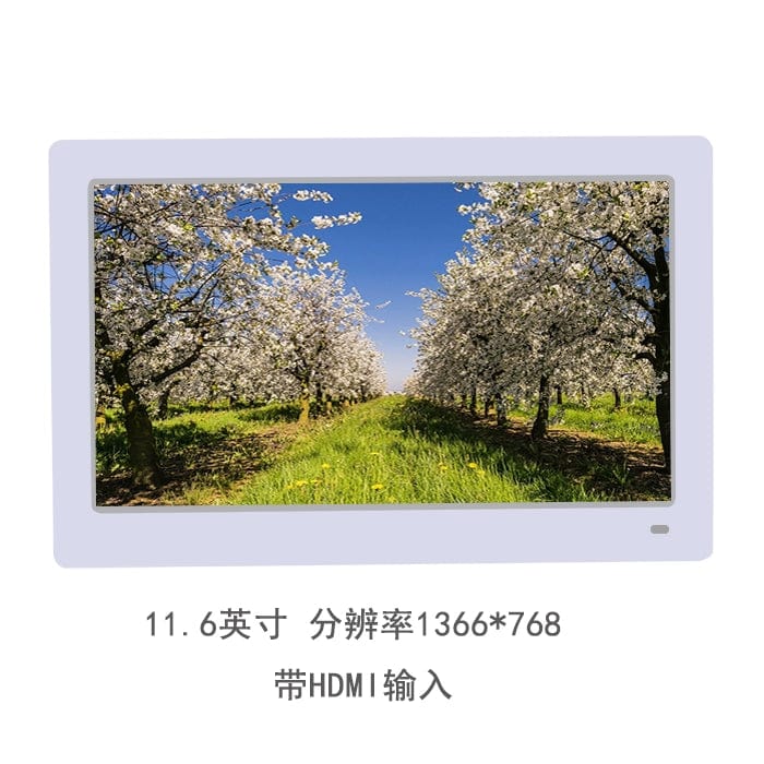 Yunzhixing 10-inch IPS digital photo frame displaying photos and videos with a high-definition screen and sleek electronic design